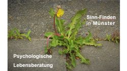 Mit Herz + Verstand stimmige Entscheidungen treffen