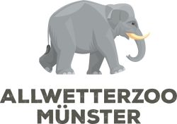  - Münster - Foto 1