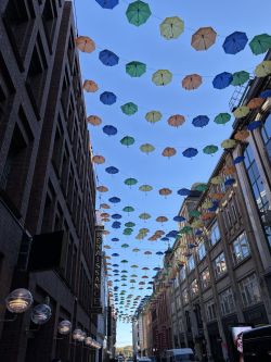 Studenten für Hausarztpraxis 