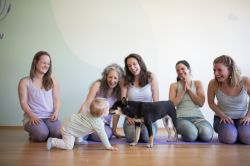 Empfangskraft/in bei Yogaflow gesucht. 01578282882