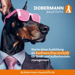 Dobermann Ausbildung