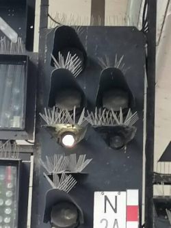 Ach wie würd ich gern mit den Wimpern klimpern