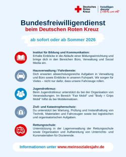  - Münster - Bild 1