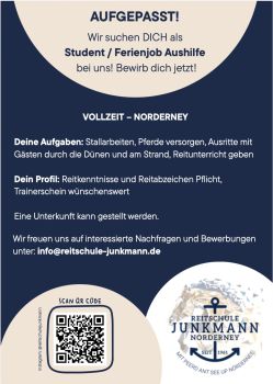  - Münster - Bild 1