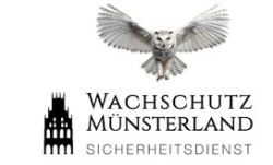  - Münster - Bild 1