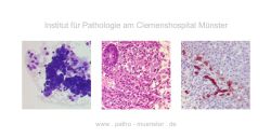 Unsere Arztpraxis im Verbund der Gesundheitsregion