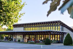  - Münster - Bild 1