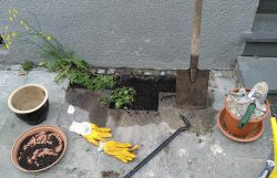 Frisch entsiegelte Fläche vor der Haustür