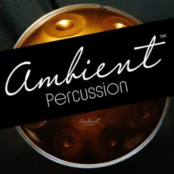 Handpans in Münster entdecken