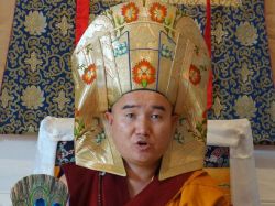Tulku Damcho Rinpoche