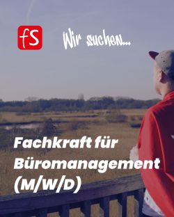  - Münster - Bild 1