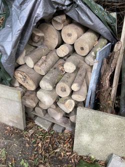 verschiedene Holzsorten