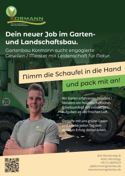  - Münster - Bild 1